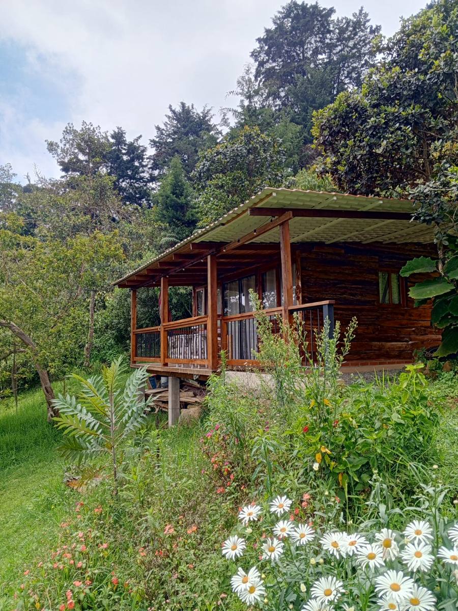 Timber cabin with a porch, surrounded by a flowering garden.