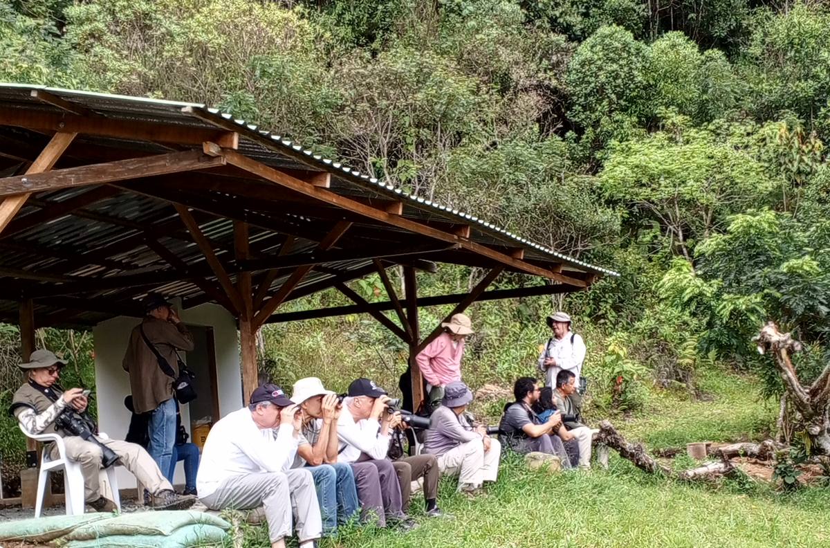 Birders with binoculars and cameras under the hide, facing the forest.