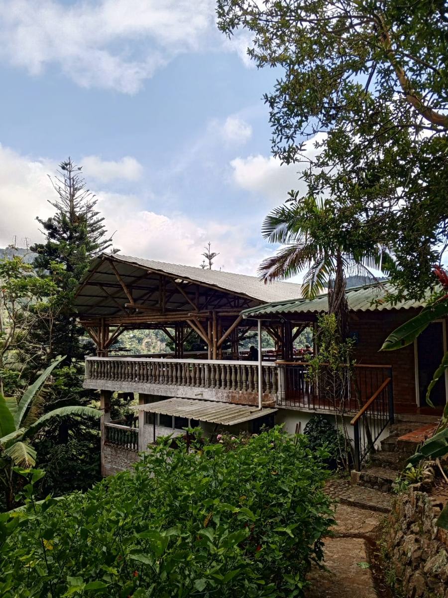 Nido Amarillo's restaurant, built in guadua bamboo and open towards the forest.